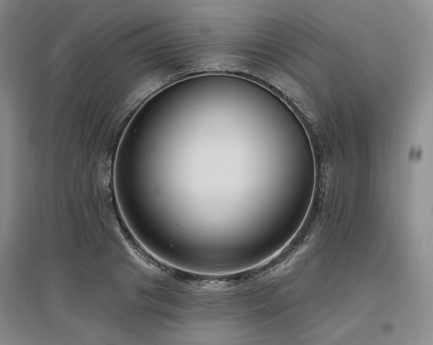 X0000097490841200802221413