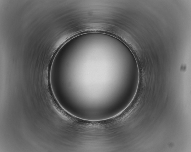 X0000097490842200802221413