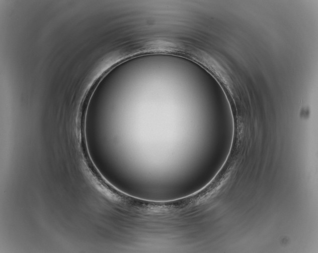 X0000097490843200802221413