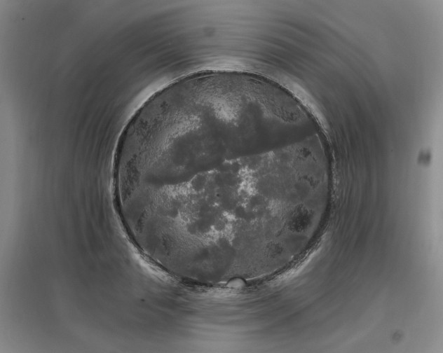 X0000097490845200802221413