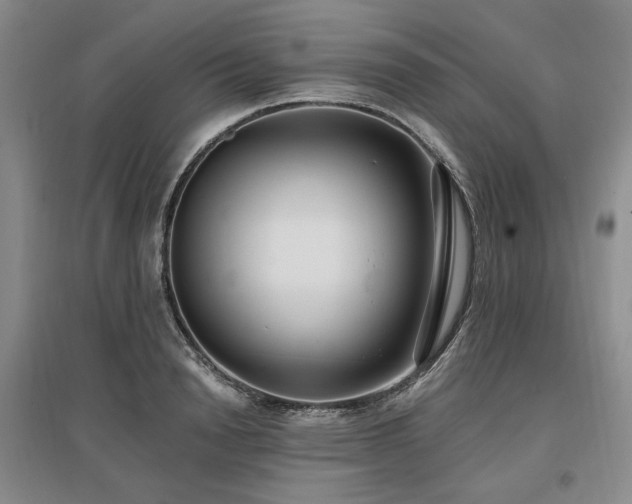 X0000097490846200802221413