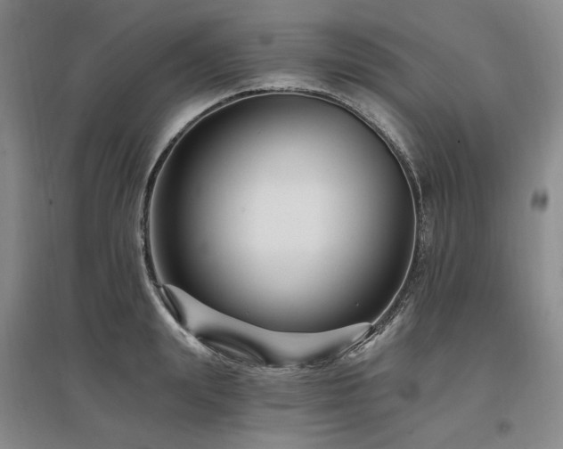 X0000097490847200802221414