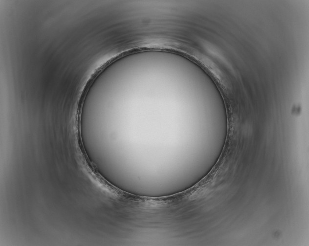 X0000097490848200802221414