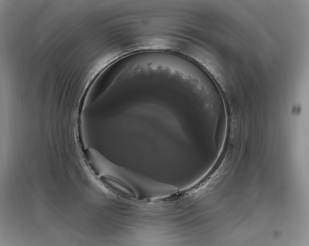 X0000097490850200802221414