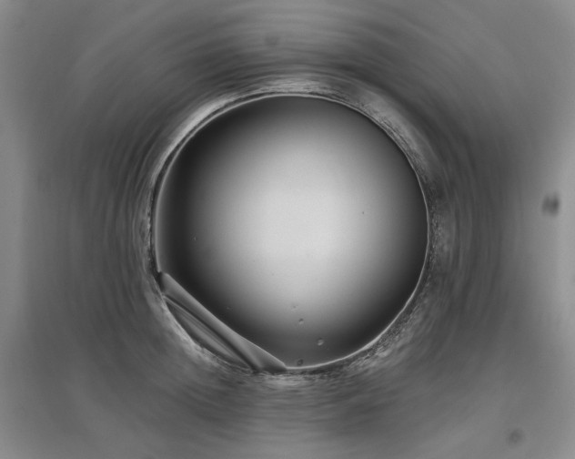 X0000097490852200802221414