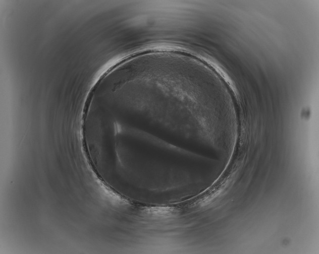 X0000097490853200802221414
