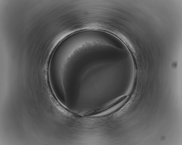 X0000097490854200802221414