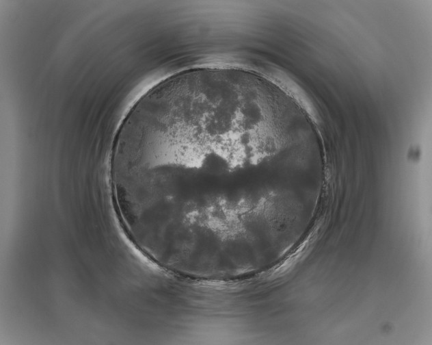 X0000097490855200802221414