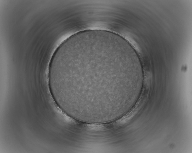 X0000097490856200802221414