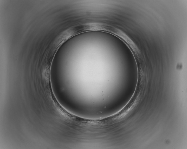 X0000097490857200802221414