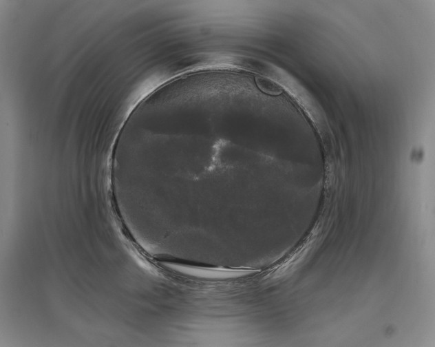 X0000097490858200802221414