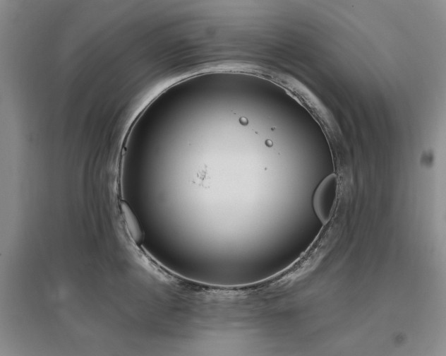 X0000097490860200802221414