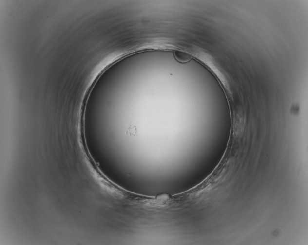 X0000097490861200802221414