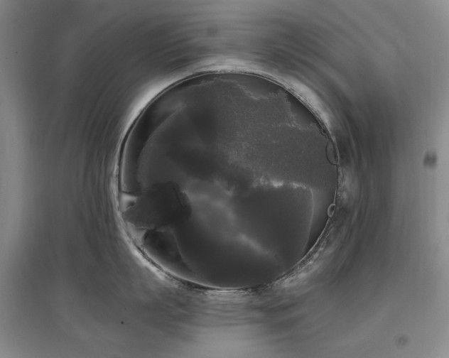 X0000097490863200802221414