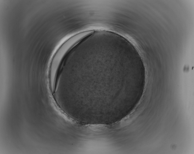 X0000097490864200802221414