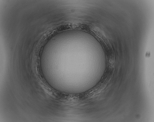 X0000097490865200802221413