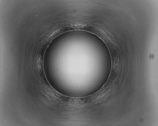 X0000097490866200802221413