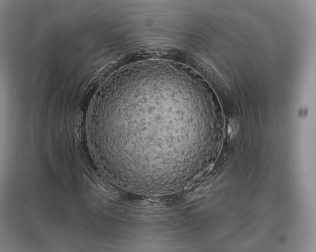 X0000097490867200802221413