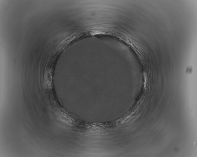 X0000097490868200802221413