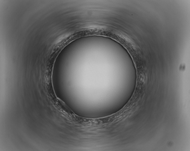 X0000097490869200802221413