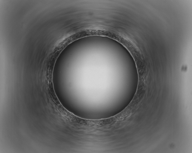 X0000097490870200802221413