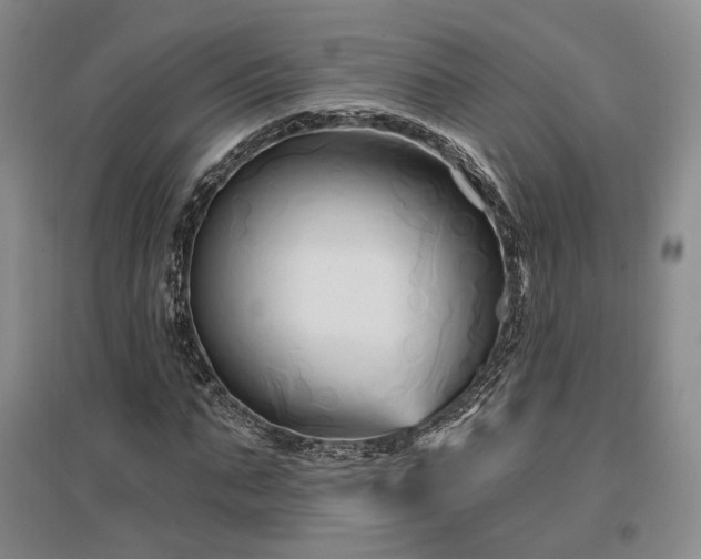 X0000097490871200802221413