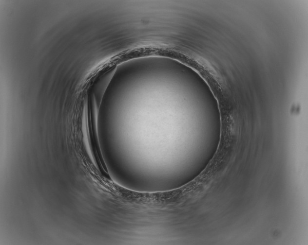 X0000097490872200802221413