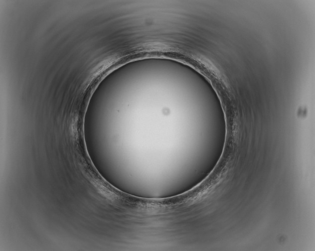 X0000097490873200802221413