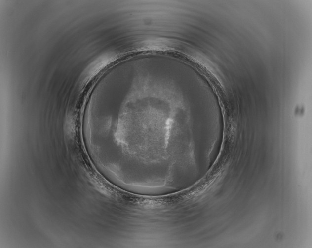 X0000097490874200802221413