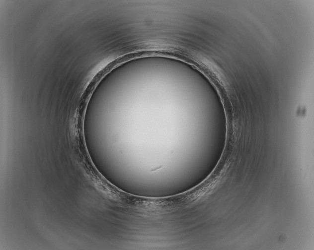 X0000097490875200802221413