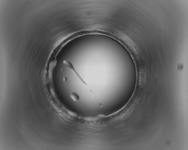 X0000097490876200802221413