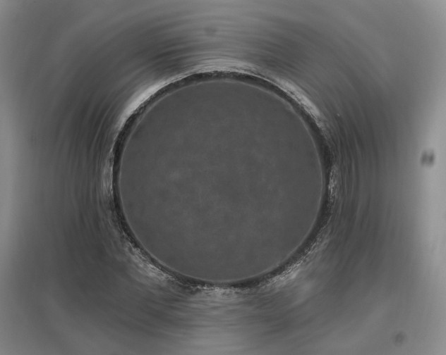 X0000097490877200802221413