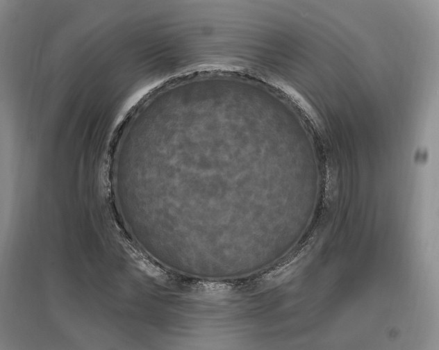 X0000097490878200802221413