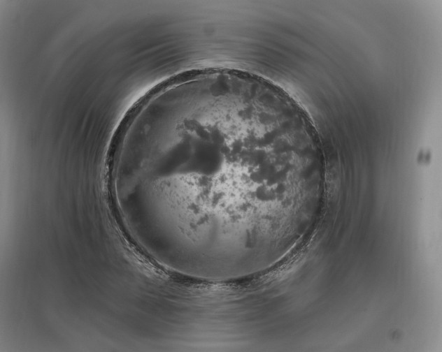 X0000097490879200802221413
