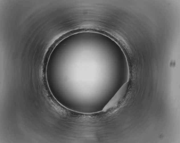 X0000097490880200802221413