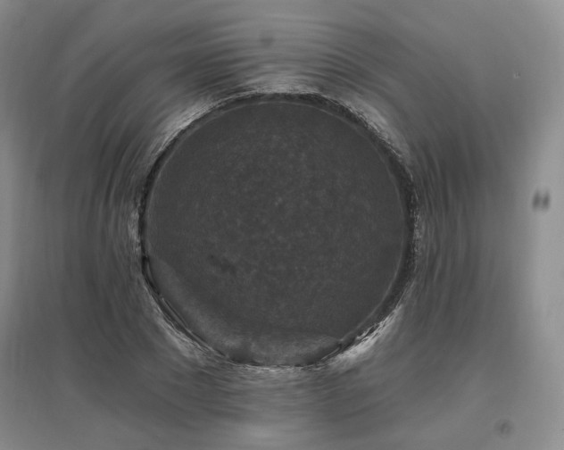 X0000097490881200802221413