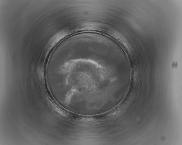 X0000097490882200802221413