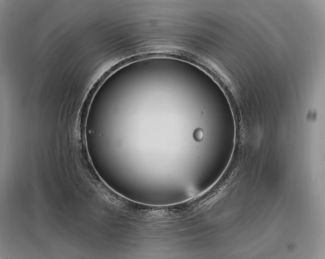 X0000097490883200802221413