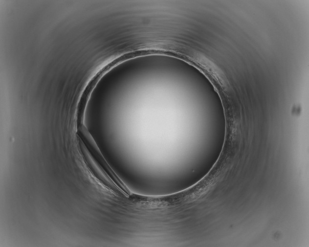 X0000097490884200802221413
