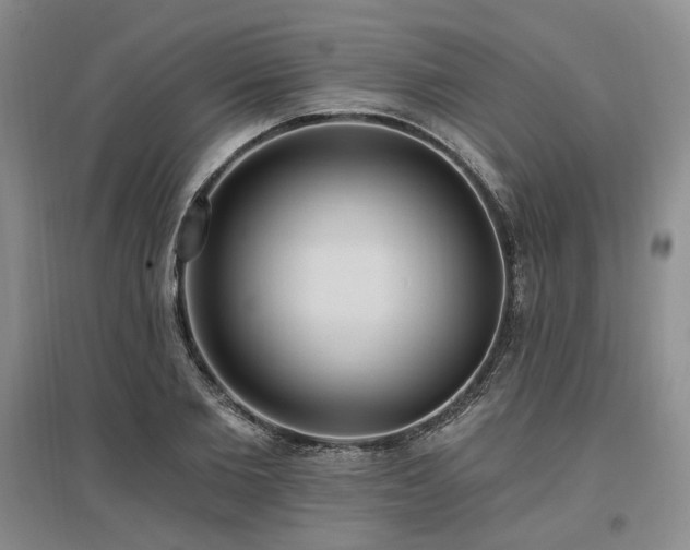 X0000097490885200802221413