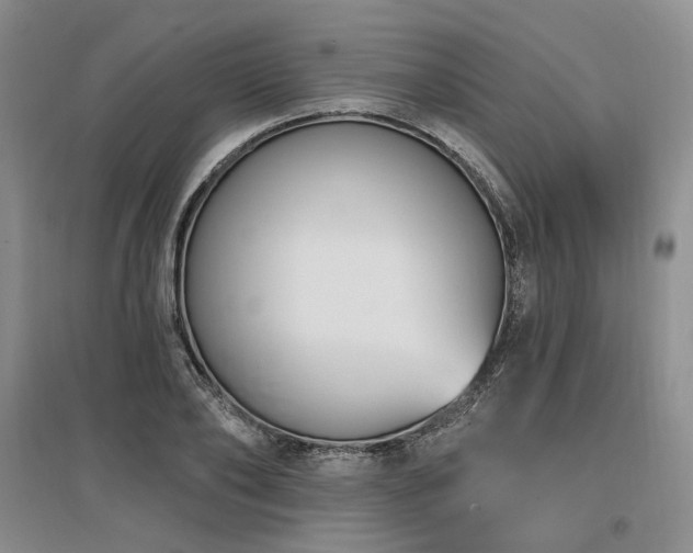 X0000097490886200802221413