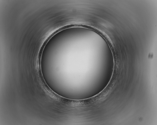 X0000097490887200802221413