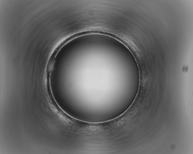 X0000097490888200802221413