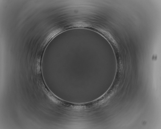 X0000097490889200802221413
