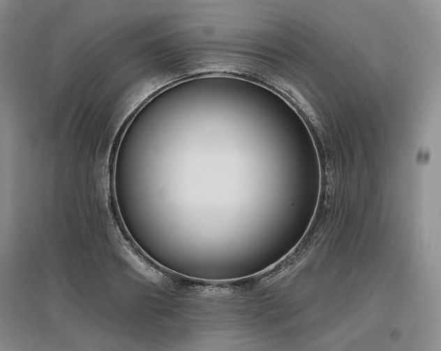 X0000097490890200802221413