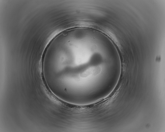X0000097490891200802221413