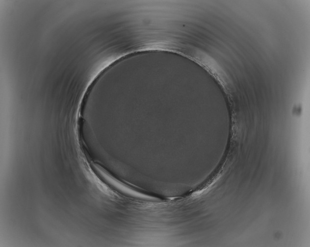 X0000097490892200802221413