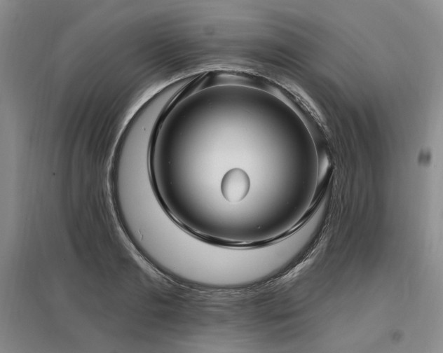 X0000097490893200802221413