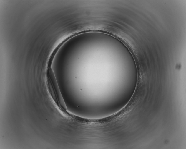 X0000097490894200802221413