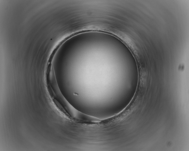 X0000097490896200802221413